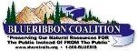 Learn more about the BlueRibben Coalition (BRC)!